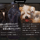 Illustration for article titled iZero Time Dilemma/is Official Website Opens